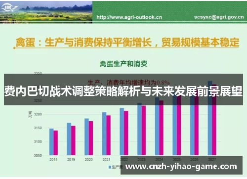费内巴切战术调整策略解析与未来发展前景展望