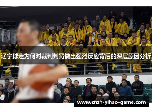 辽宁球迷为何对裁判判罚做出强烈反应背后的深层原因分析