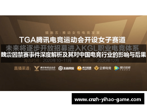 魏震因禁赛事件深度解析及其对中国电竞行业的影响与后果