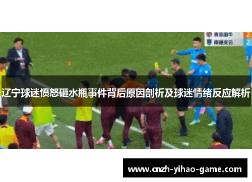 辽宁球迷愤怒砸水瓶事件背后原因剖析及球迷情绪反应解析
