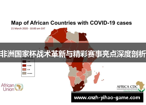 非洲国家杯战术革新与精彩赛事亮点深度剖析