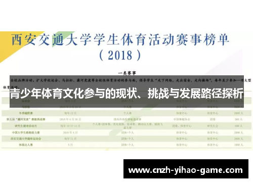 青少年体育文化参与的现状、挑战与发展路径探析